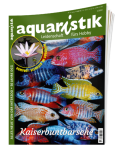 aquaristik Magazin