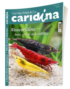 Magazin caridina
